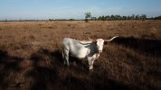 DJI_0903.JPG