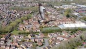 buzzard.JPG