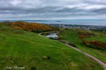DJI_0810-HDR.jpg