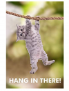 Screenshot_20201106-150641.png