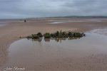 DJI_0819-HDR.jpg