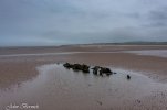 DJI_0834-HDR.jpg