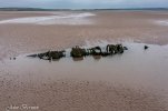 DJI_0854-HDR.jpg