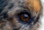 close up.jpg
