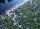 DJI_0111.JPG