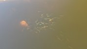 DJI_0147.JPG