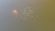 DJI_0148.JPG