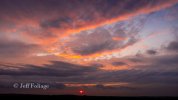 20210718-DJI_0026.jpg
