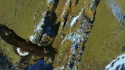 vlcsnap-2021-02-25-15h40m55s013.png