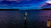 DJI_0240.jpg
