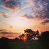 IMG_20210806_201752_964.jpg