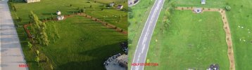 COMPARE.jpg