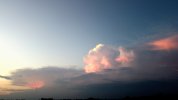 DJI_0230  C.JPG