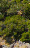 2021-08-24_01h20_42.png