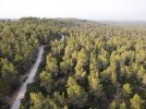 Photo_6619715_DJI_579_jpg_5803455_0_202182874252_photo_original.jpg