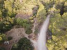 Photo_6619710_DJI_574_jpg_5686645_0_202182874222_photo_original.jpg