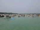 DJI_0008.JPG