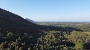 DJI_0013 (2).JPG