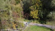 parc cwm darran 10-10-2021 (4).JPG