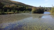 parc cwm darran 10-10-2021 (10).JPG