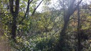 parc cwm darran 10-10-2021 (15).JPG