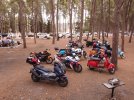 Photo_6619913_DJI_777_jpg_5462567_0_20211016111546_photo_original.jpg