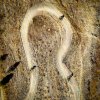 DJI_0168.jpg