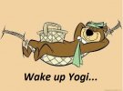 Yogi.jpg