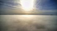 Into The Fog.jpg