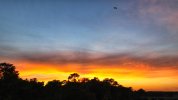 dji_export_1638488262816-01.jpeg