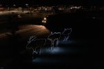 DJI_Mavic_Pro2_rising_black_bars-3.jpg