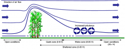 Air-flow-around-a-windbreak-showing-the-extent-of-various-microclimate-zones-in-terms-of.png