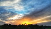 dji_export_1641081138788-01.jpeg