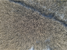 1643077245564.png