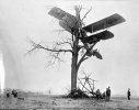 zbiplane in tree.jpg