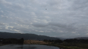 DJI_0034_1.gif