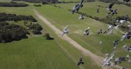 pigeon attack 003.jpeg