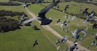 pigeon attack 005.jpeg