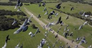pigeon attack 006.jpeg