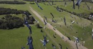 Pigeon attack 004.jpeg