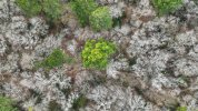 dji_export_1645392557445-01.jpeg