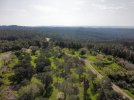 dji_export_1646465034480.jpg