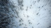 DJI_0108.jpg
