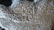 DJI_0836.JPG