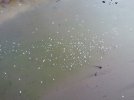 DJI_0888.JPG