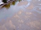 DJI_0905.JPG