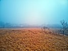 DJI_0119-HDR-foggy-morning.jpg