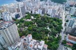 DJI_0461 1.jpg
