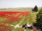 dji_export_1650877503579.jpg