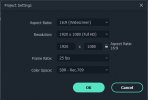 Filmora_Settings.jpg